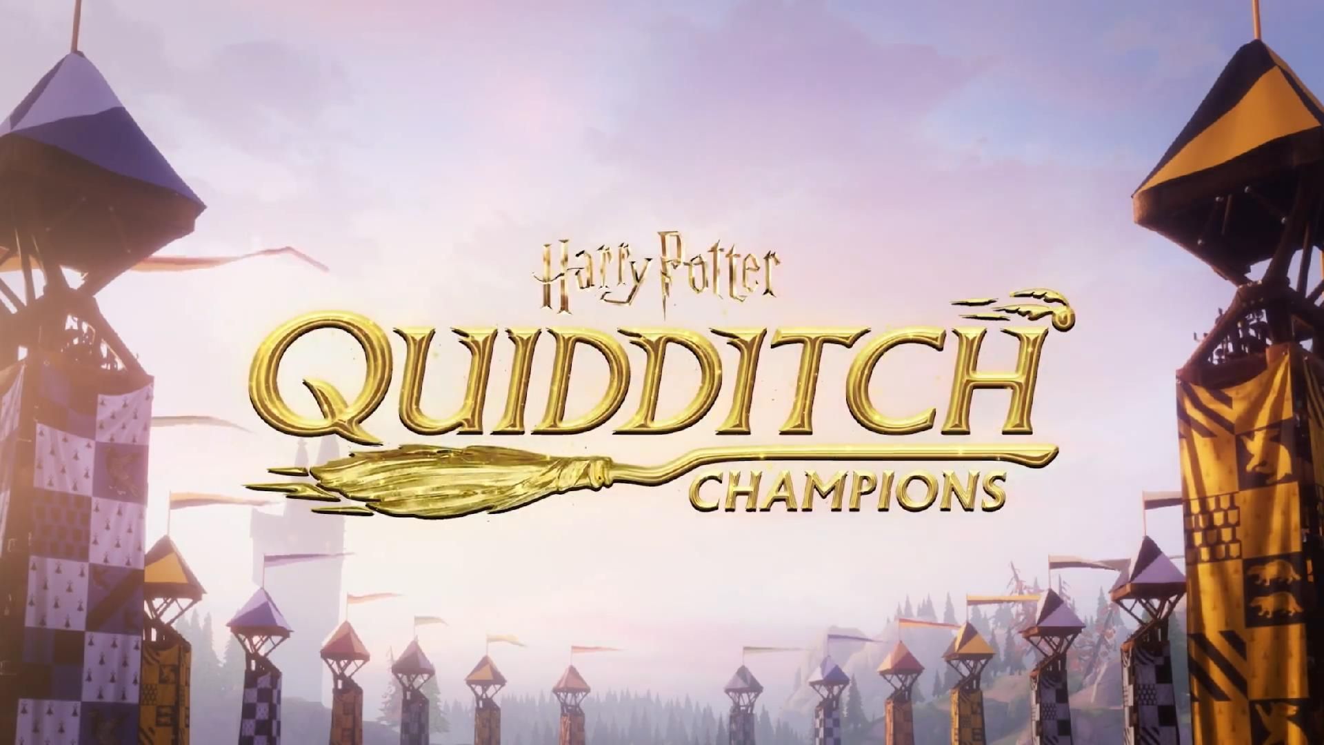 多人竞技游戏《哈利波特:魁地奇冠军 03 harry potter: quidditch