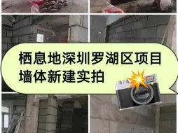 Download Video: 栖息地深圳罗湖项目墙体新建实拍