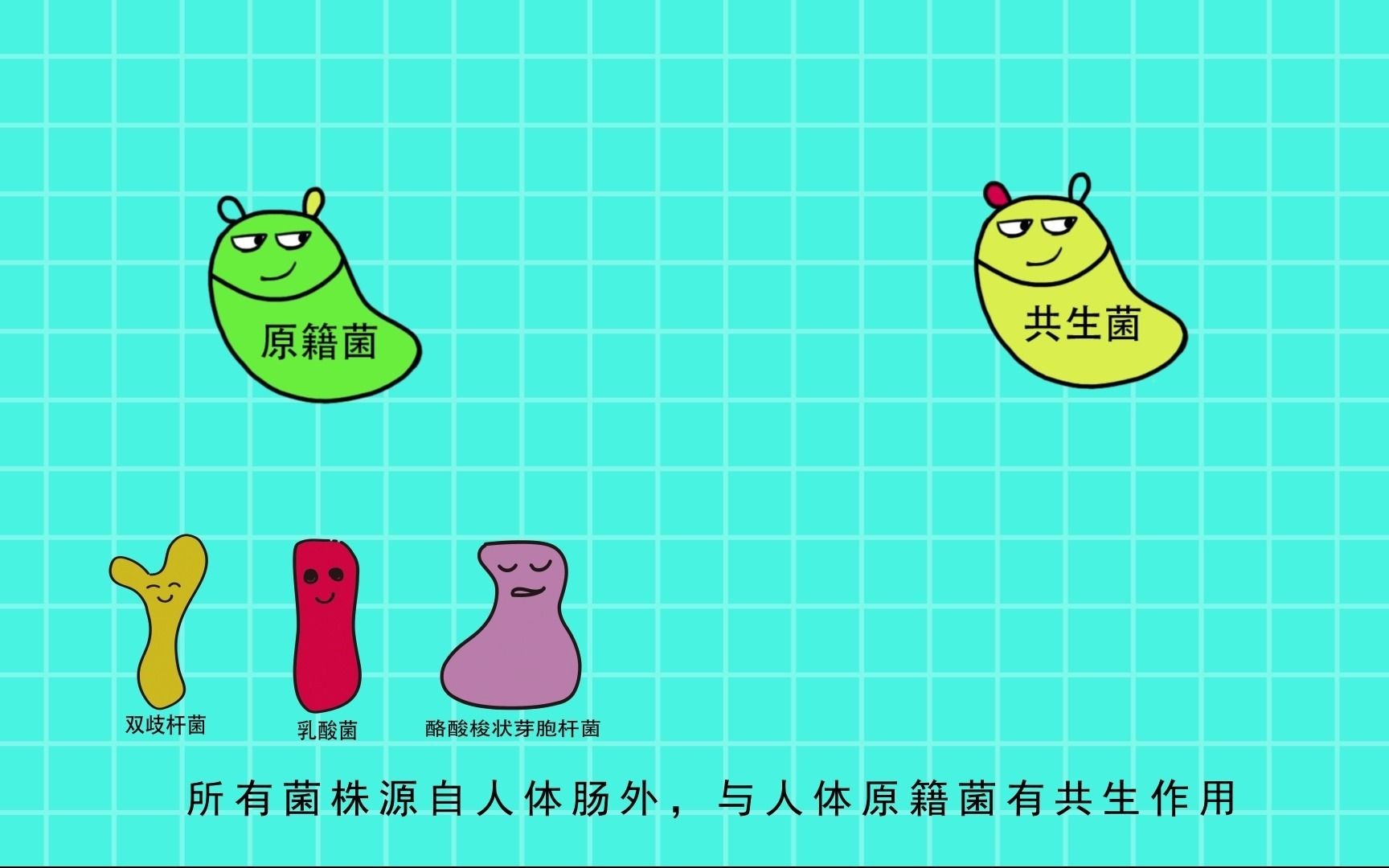 益生菌科普视频哔哩哔哩bilibili