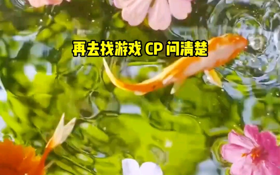 小说推荐《听月照了》哔哩哔哩bilibili