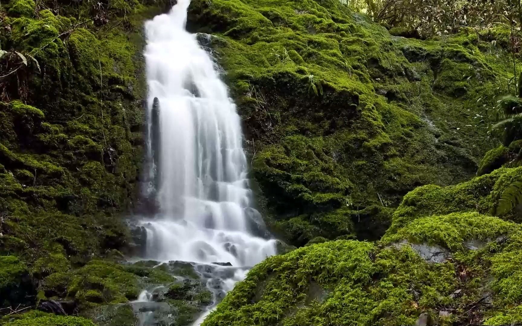 韩佳彤电视剧,网剧剧本写作实训工作坊 第一阶段
