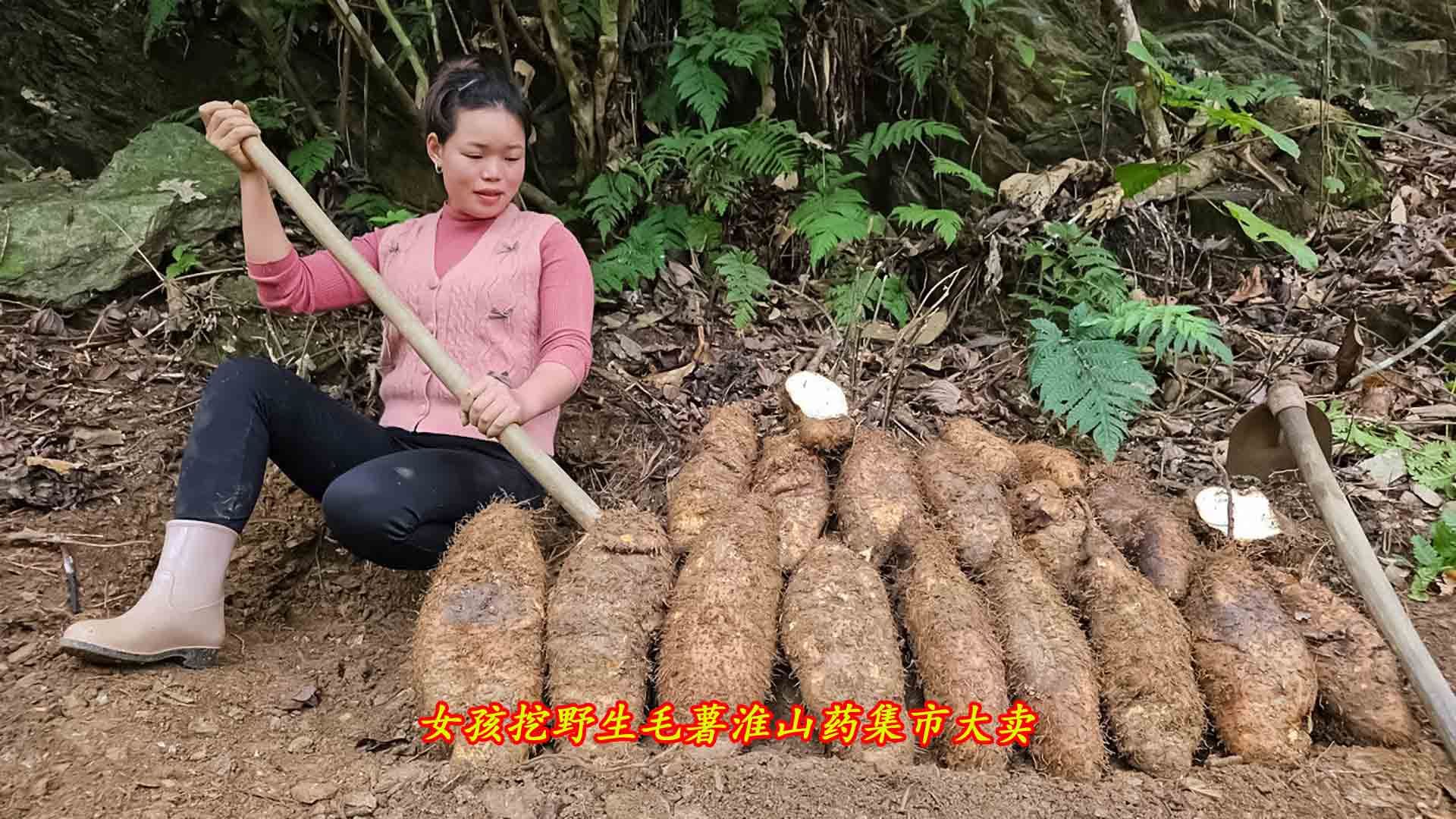 挖野生毛薯淮山药集市大卖,独居女孩的山里农村生活,活力满满!哔哩哔哩bilibili