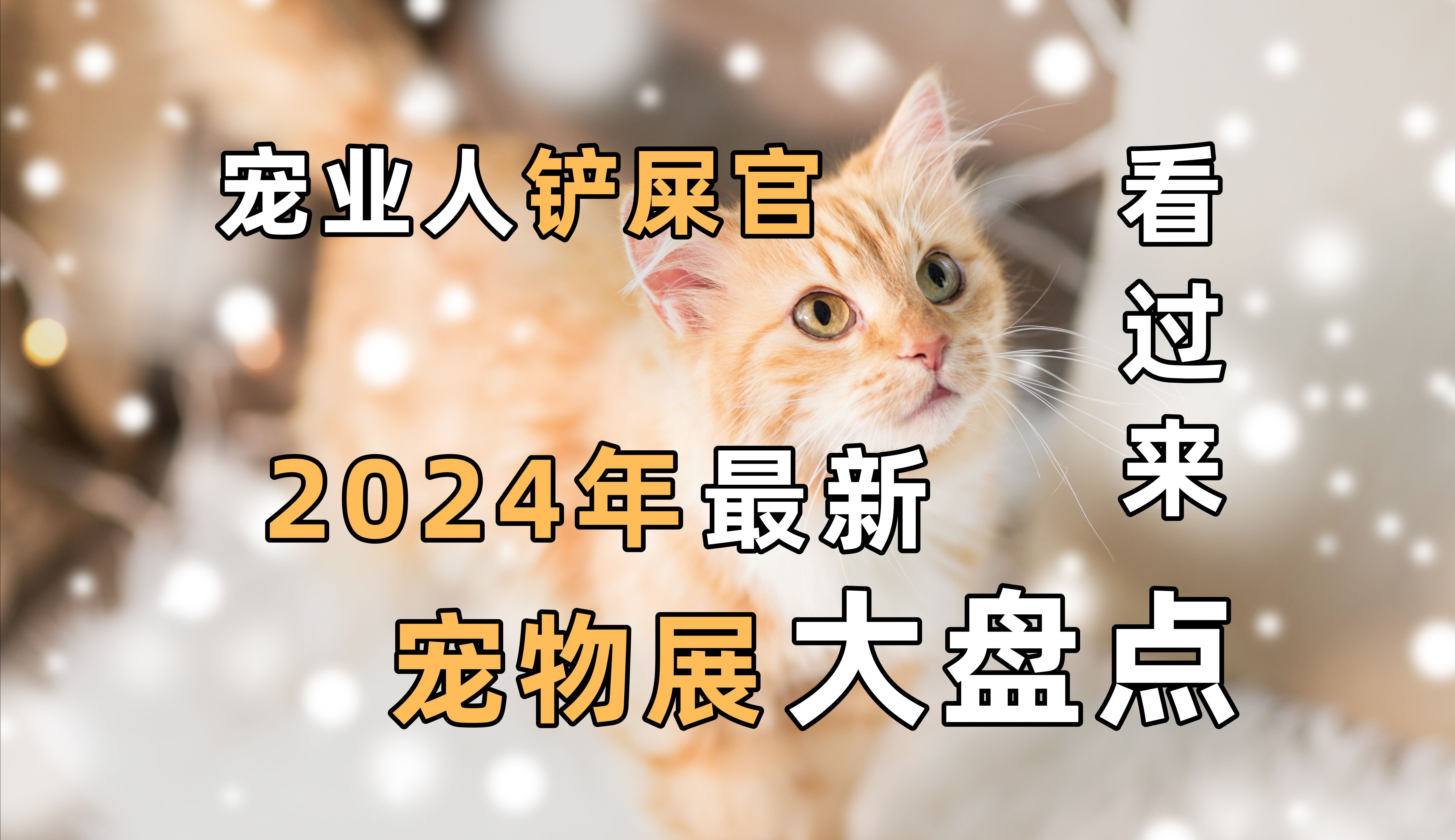 2024年宠物展大盘点,宠业人、铲屎官们看过来!哔哩哔哩bilibili