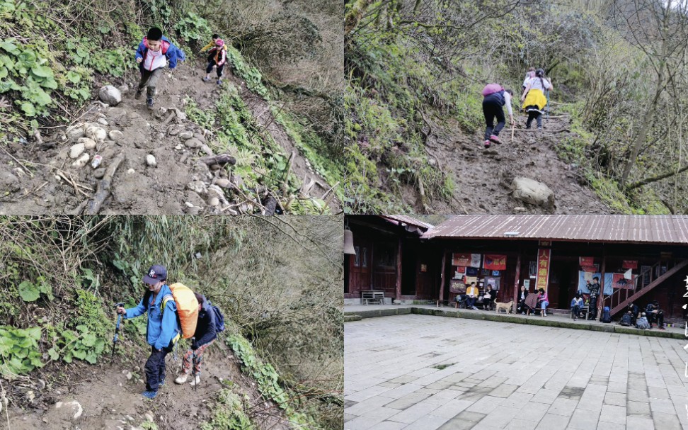 成都市都江堰青城山最高峰赵公山,到底难不难,请看登山众生相哔哩哔哩bilibili