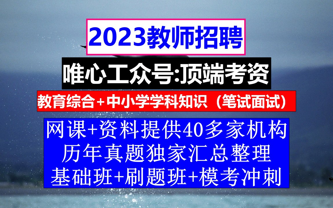 2023全国教师招聘教育基础知识,教师招聘信息模板,教师编制备考哔哩哔哩bilibili