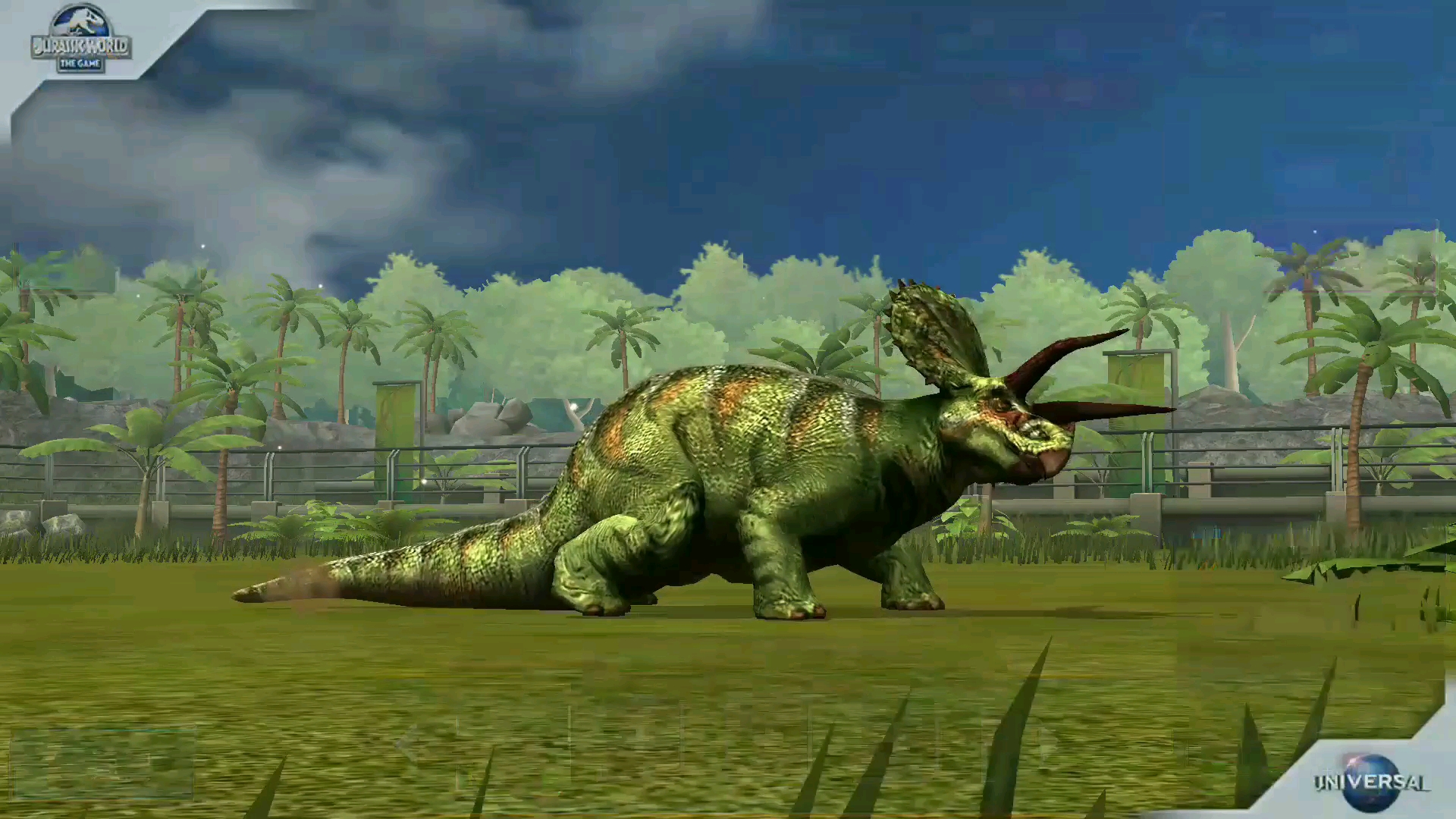 拿到第二型三角龙