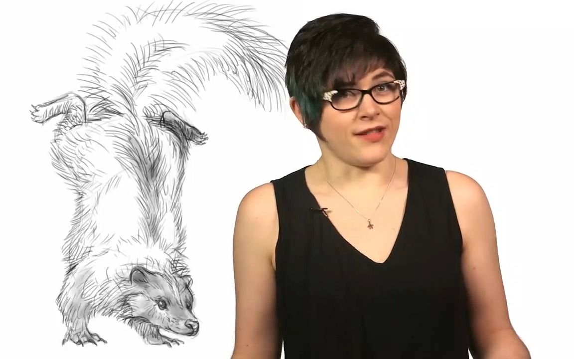 【臭鼬】臭鼬发射毒气的秘诀!真的很臭!