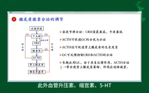 Télécharger la video: #糖皮质激素分泌的调节#内分泌#人体生理学#医学知识科普#每天学习一点点