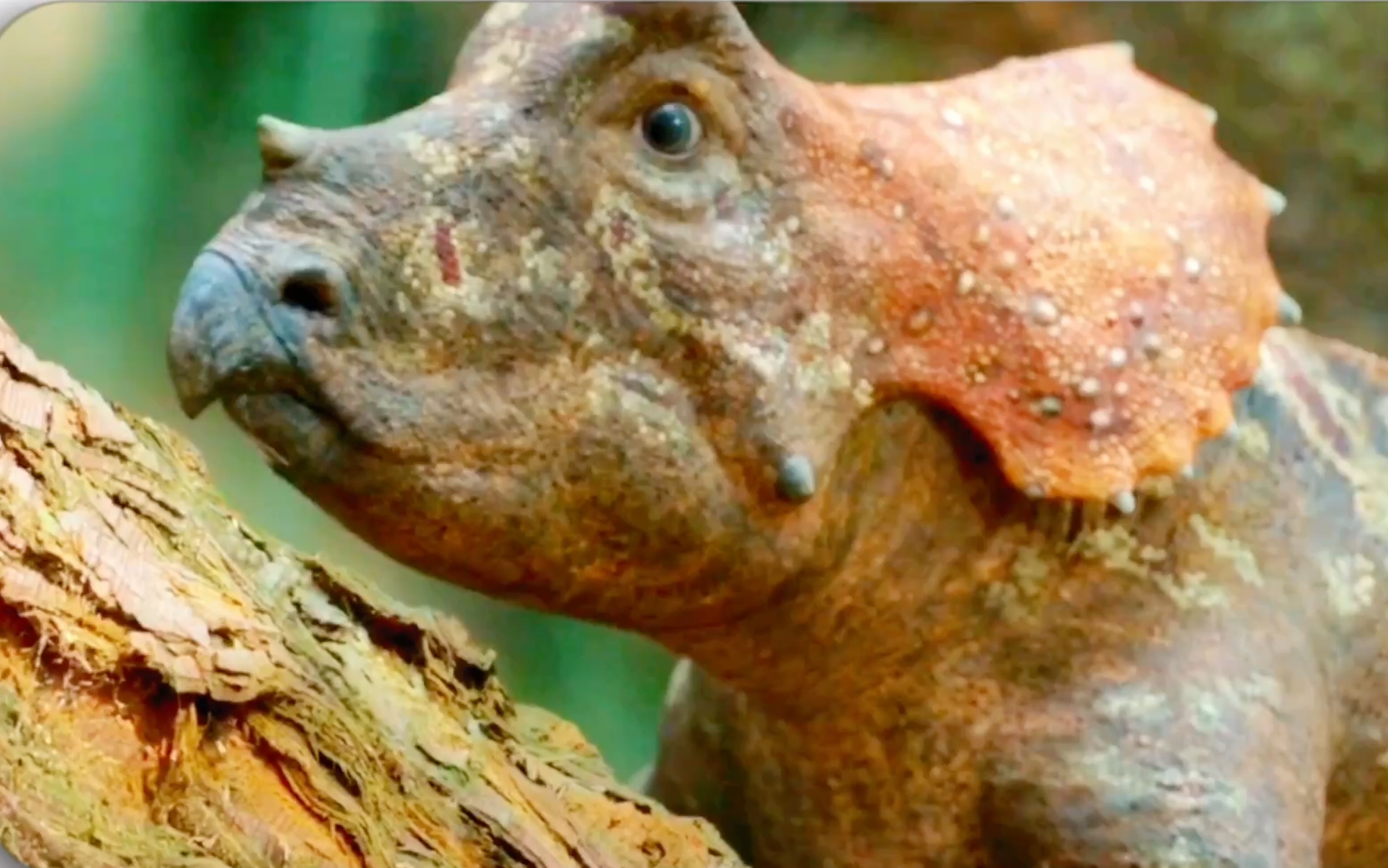 史前星球三角龙