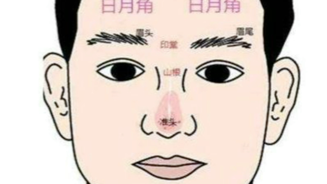 额头日月角七种不同的特征,代表哪些不同的意义?
