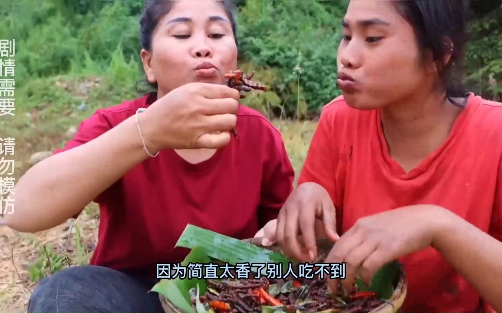 越南火爆洋喇子(毛毛虫)简直是又下饭又下菜啊!越南美食哔哩哔哩bilibili