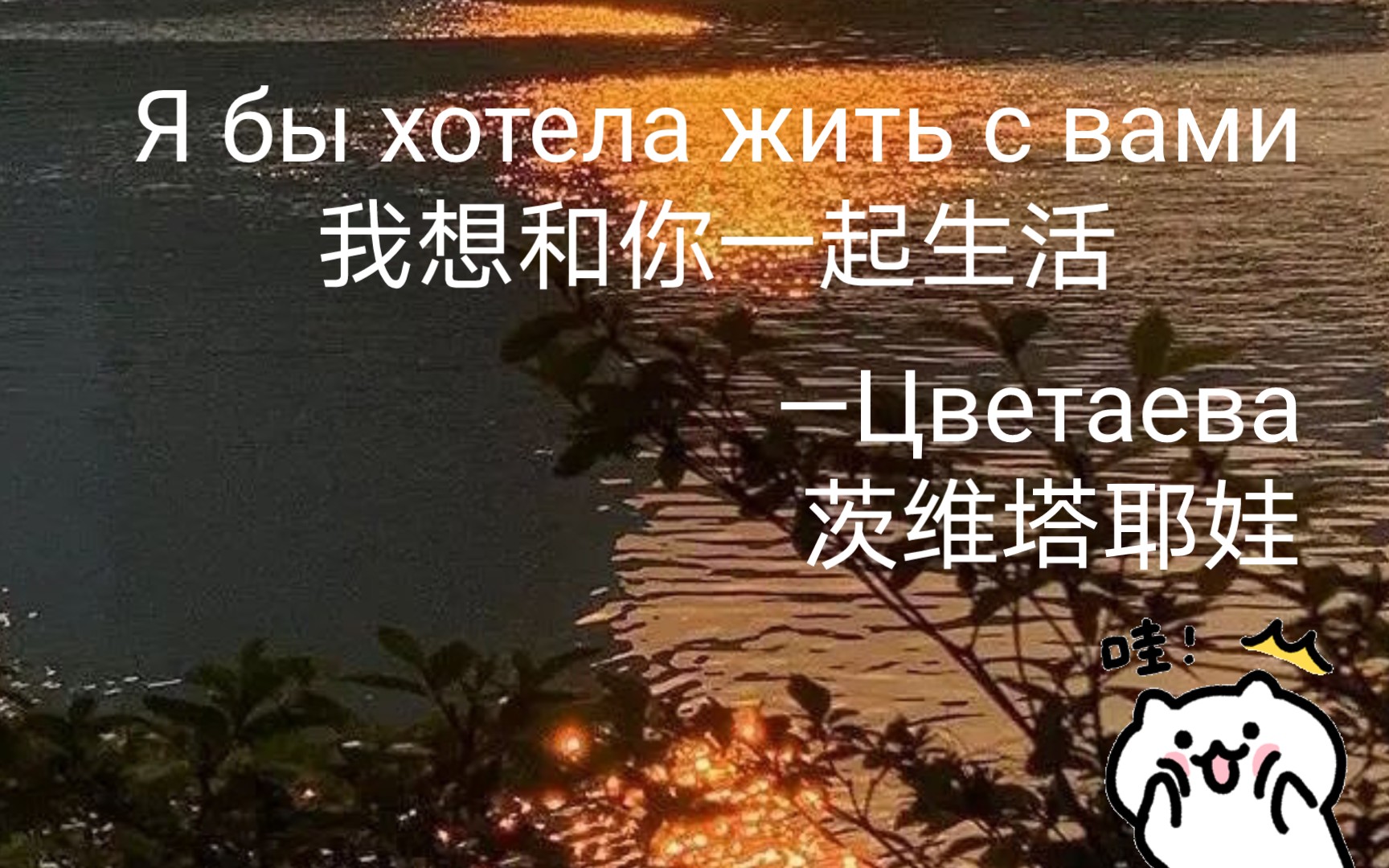 [图]俄语诗歌《我想和你一起生活》茨维塔耶娃 Я бы хотела жить с вами.