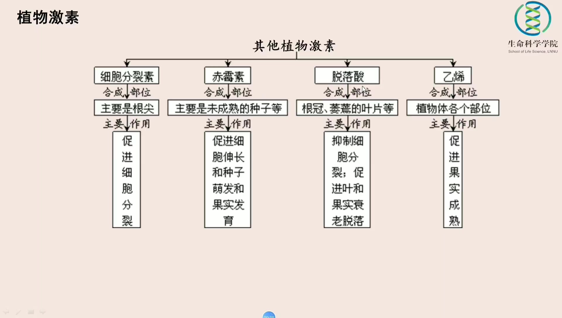 人教版高中生物(必修三)哔哩哔哩bilibili