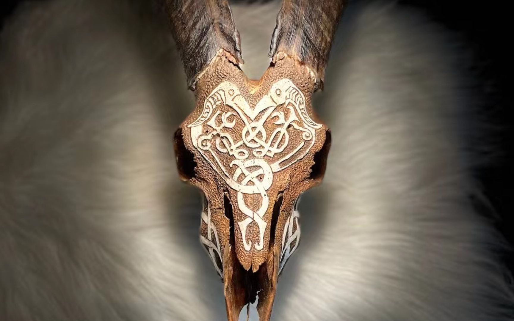 山羊头骨雕刻,手工雕刻 图腾浅雕 上色