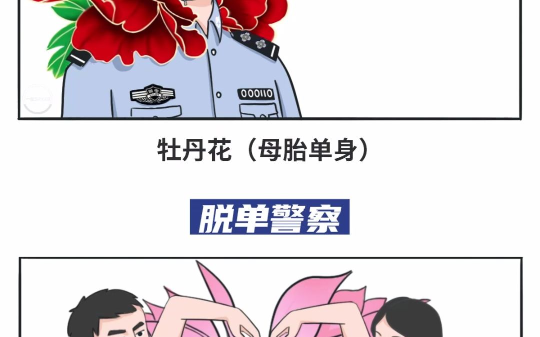 [图]如果每一类警察是一朵花，你是什么花？