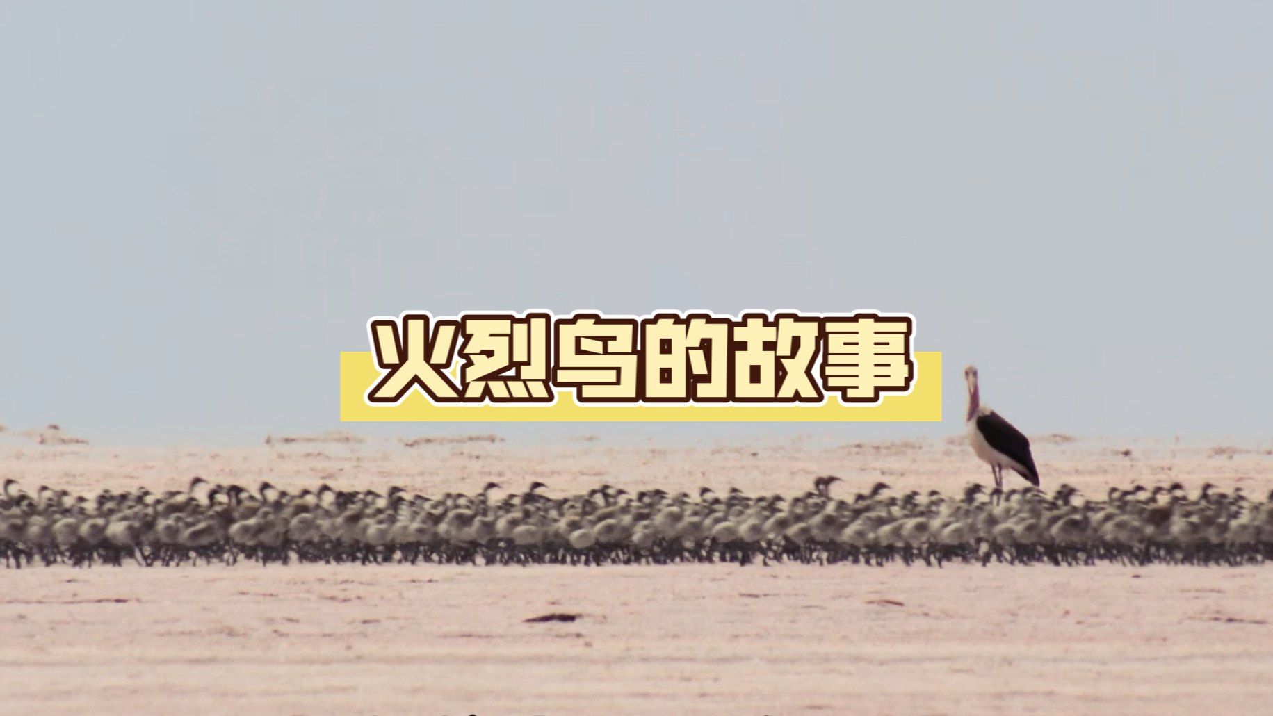 或许死亡并不是真正的终点而遗忘才是真正的死去