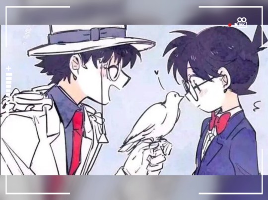 名柯#快新#柯基