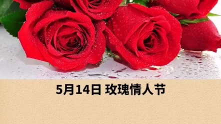 5月14号玫瑰情人节图片