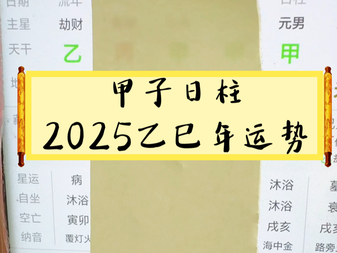 60甲子运势之甲子日柱2025乙巳年运势哔哩哔哩bilibili