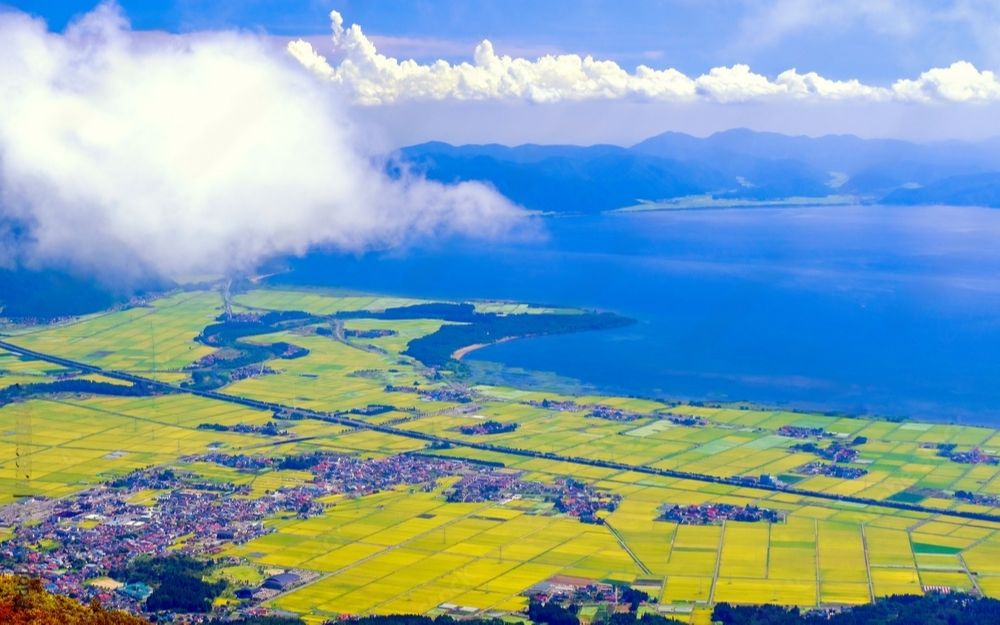 航拍猪苗代湖和对湖边的农田地,城镇