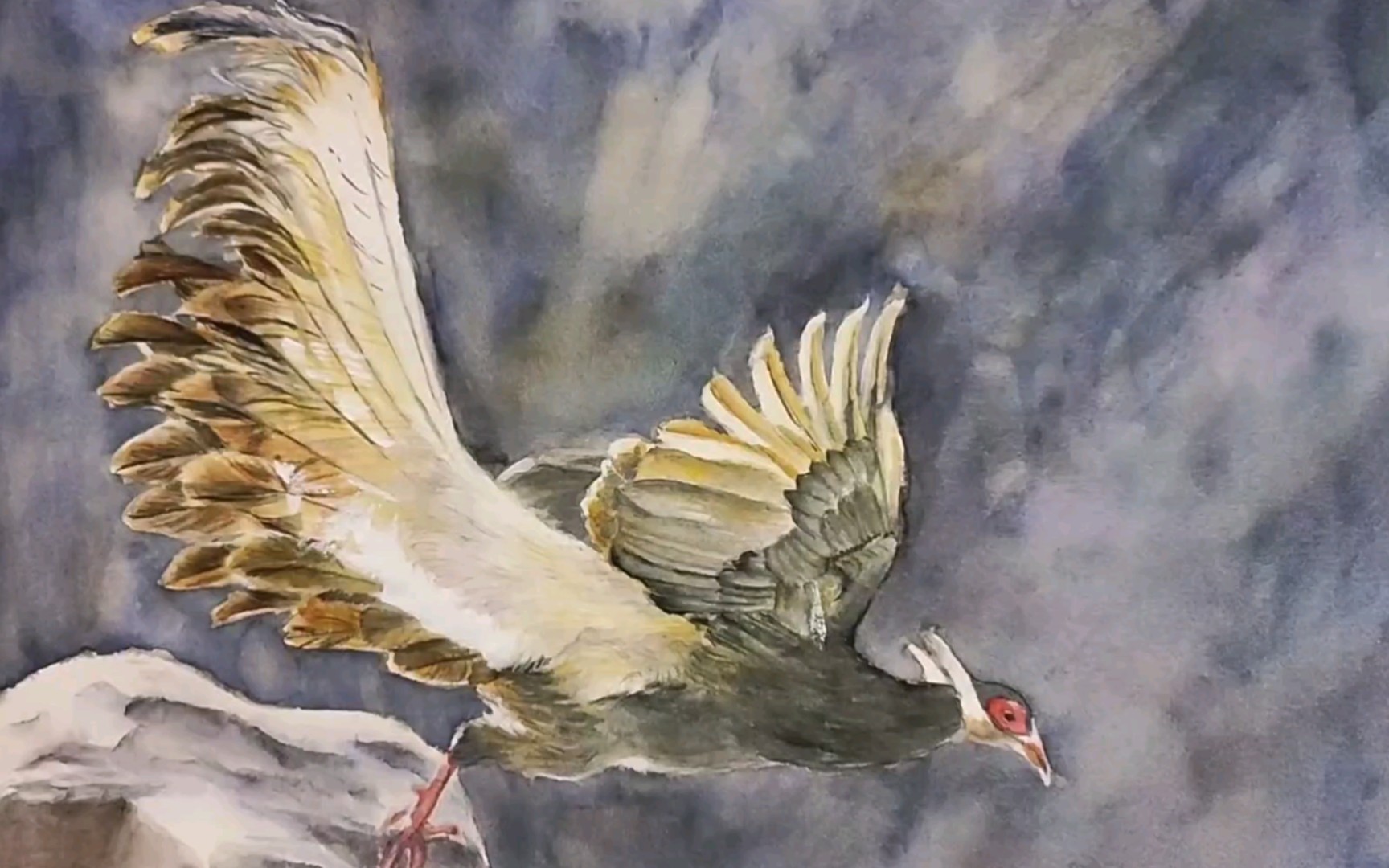 活动  【水彩】起飞的褐马鸡