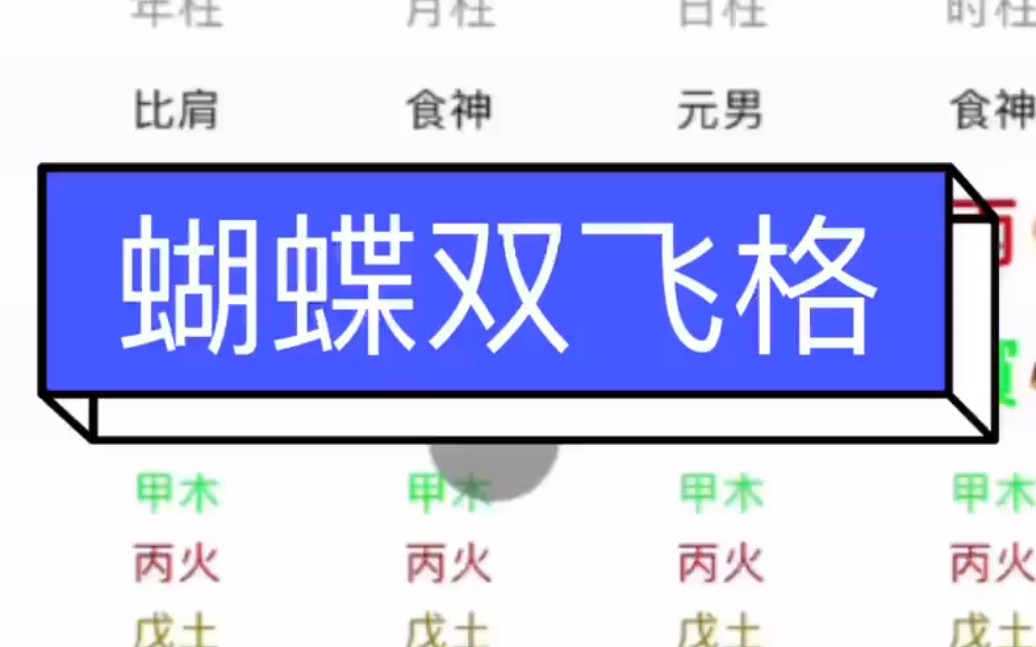 八个字六个木,蝴蝶双飞格哔哩哔哩bilibili