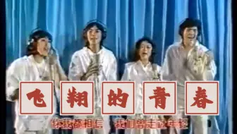 Download Video: 费翔、成方圆等 - 飞扬的青春（1988年实况录像）