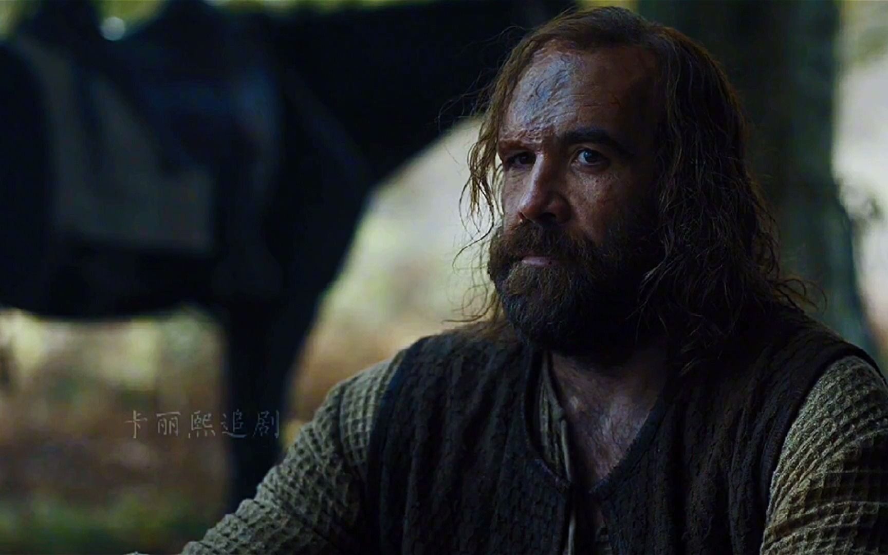 揭秘权力的游戏猎狗不是骑士的骑士下