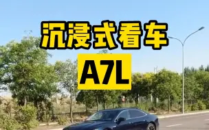 Descargar video: 沉浸式看车——A7L