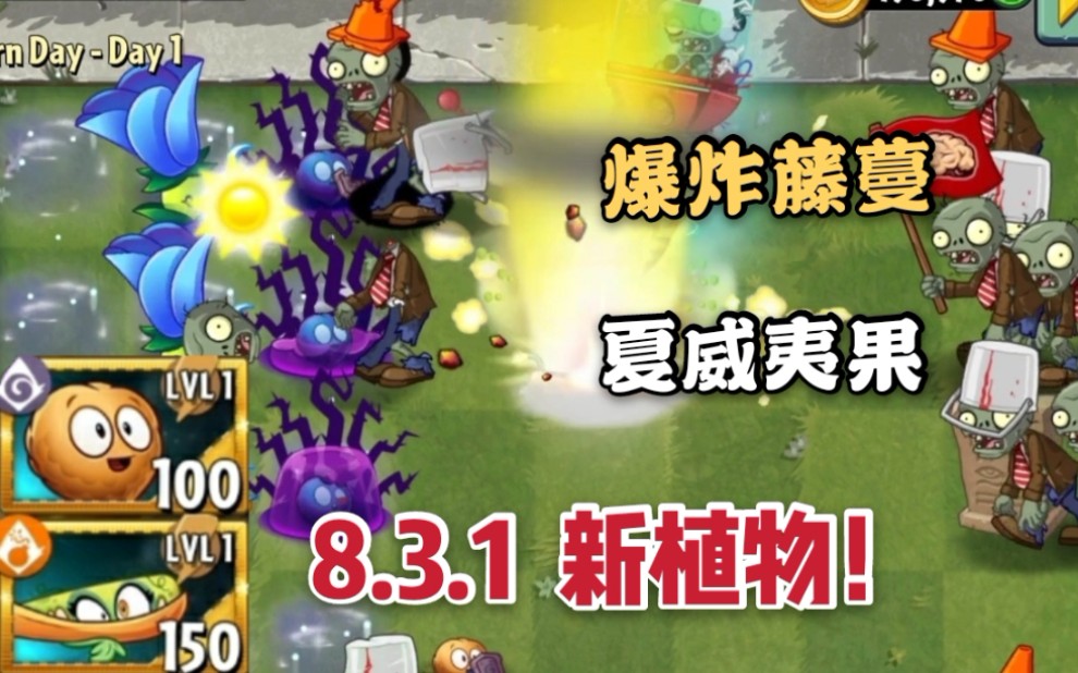 3.1新植物!爆炸藤蔓&夏威夷果试玩视频