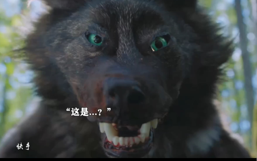 披着人皮的狼在人类世界混的风生水起 最后却想念做狼的日子