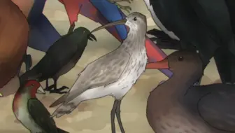 【鸟类手书】散り散り