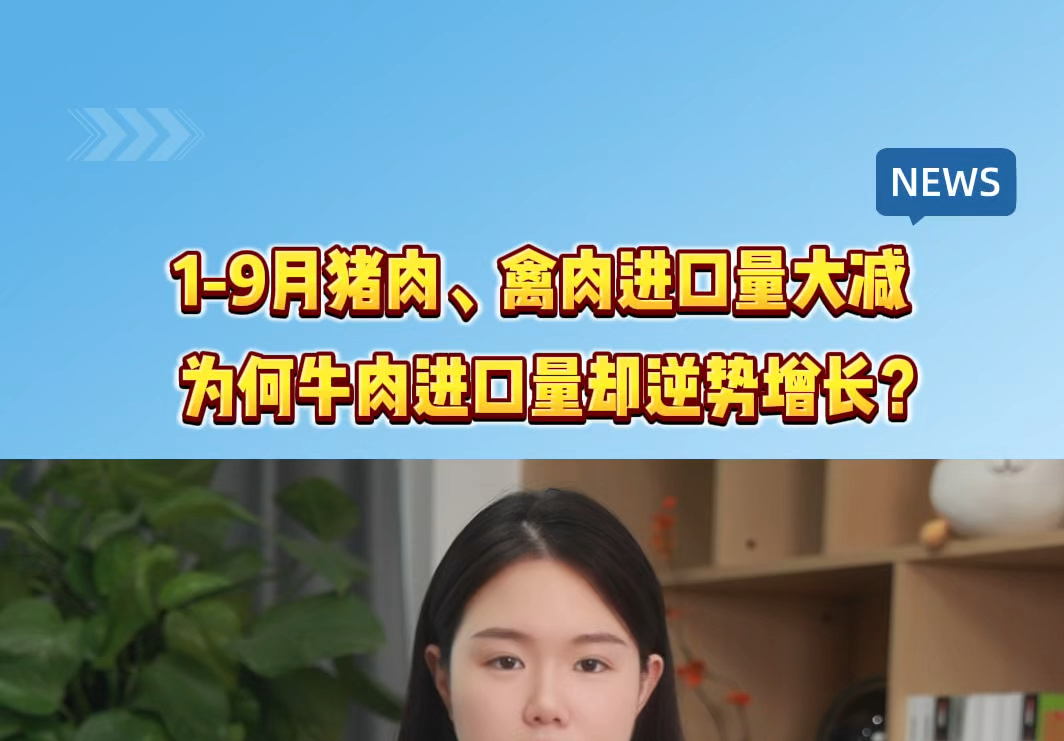 1—9月我国畜产品进口情况:猪肉、禽肉进口大幅减少,牛肉进口增长 #猪价 #猪肉 #进口哔哩哔哩bilibili