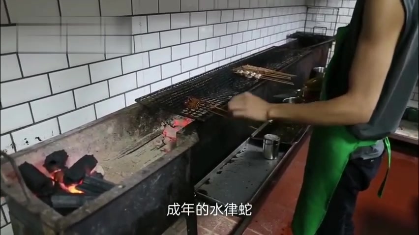 广西南宁,一家烧烤店里有一道烤蛇,吸引着众多食客据说口感如同牛肉.哔哩哔哩bilibili