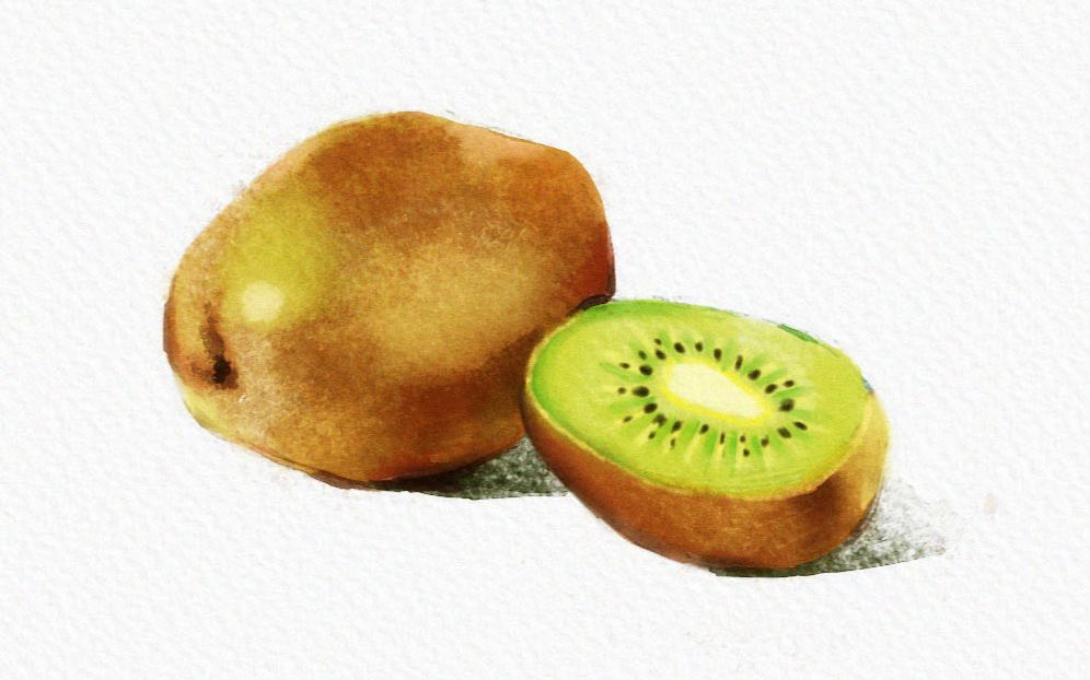水彩静物过程—猕猴桃