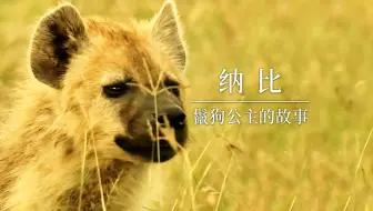 这是一个关于鬣狗成长的故事~