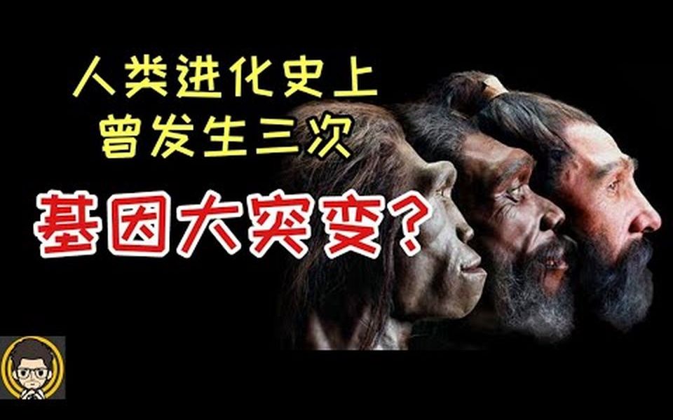 [图]人类起源 - 最不符合进化论的物种