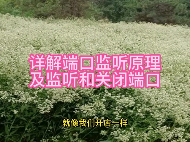 详解端口监听原理以及监听和关闭端口