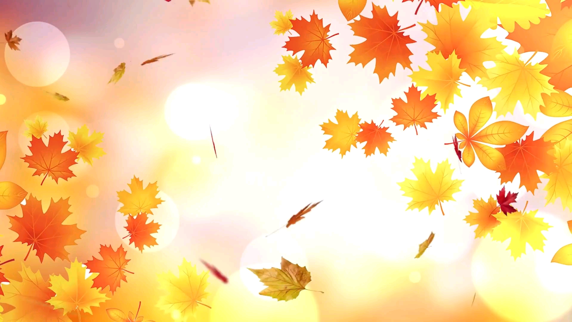 秋天的童话,落叶纷飞