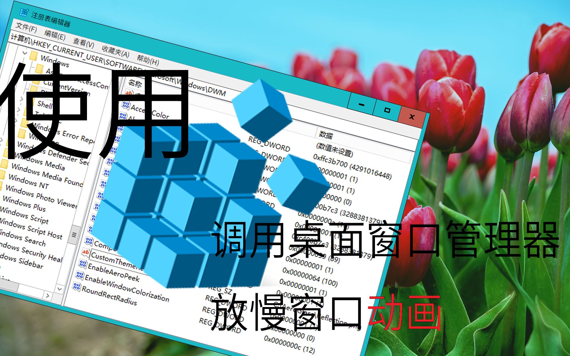 【教程】如何使用注册表编辑器来放慢窗口动画?(Windows Vista 以上操作系统均适用)哔哩哔哩bilibili