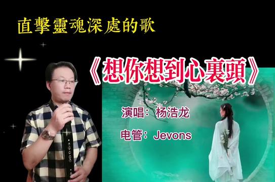 《想你想到心里头》直击灵魂深处的伤感歌曲!电管演奏分享!9595