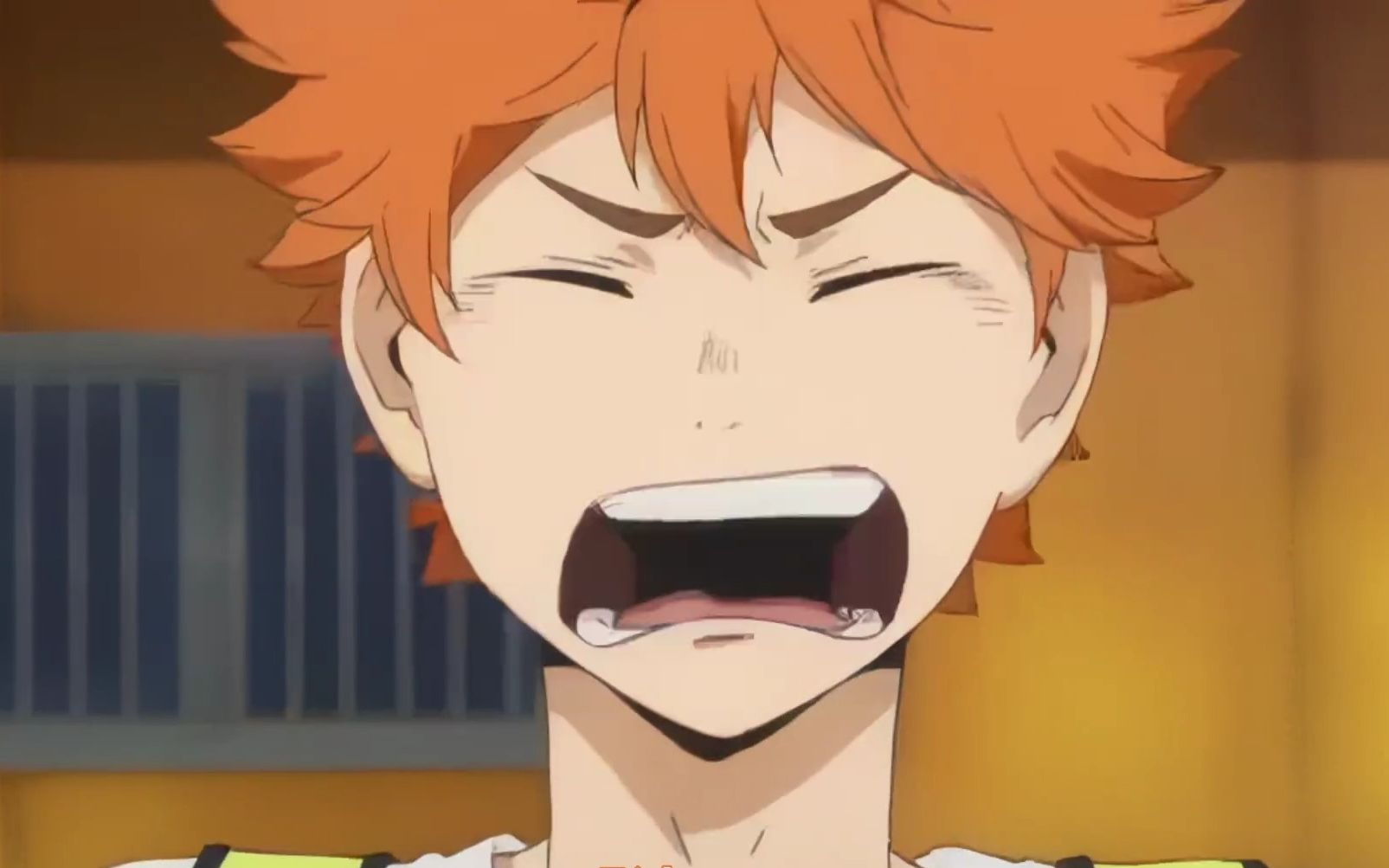 【排球少年】dvd宣发紧张小太阳一枚 (影山飞雄&日向翔阳)