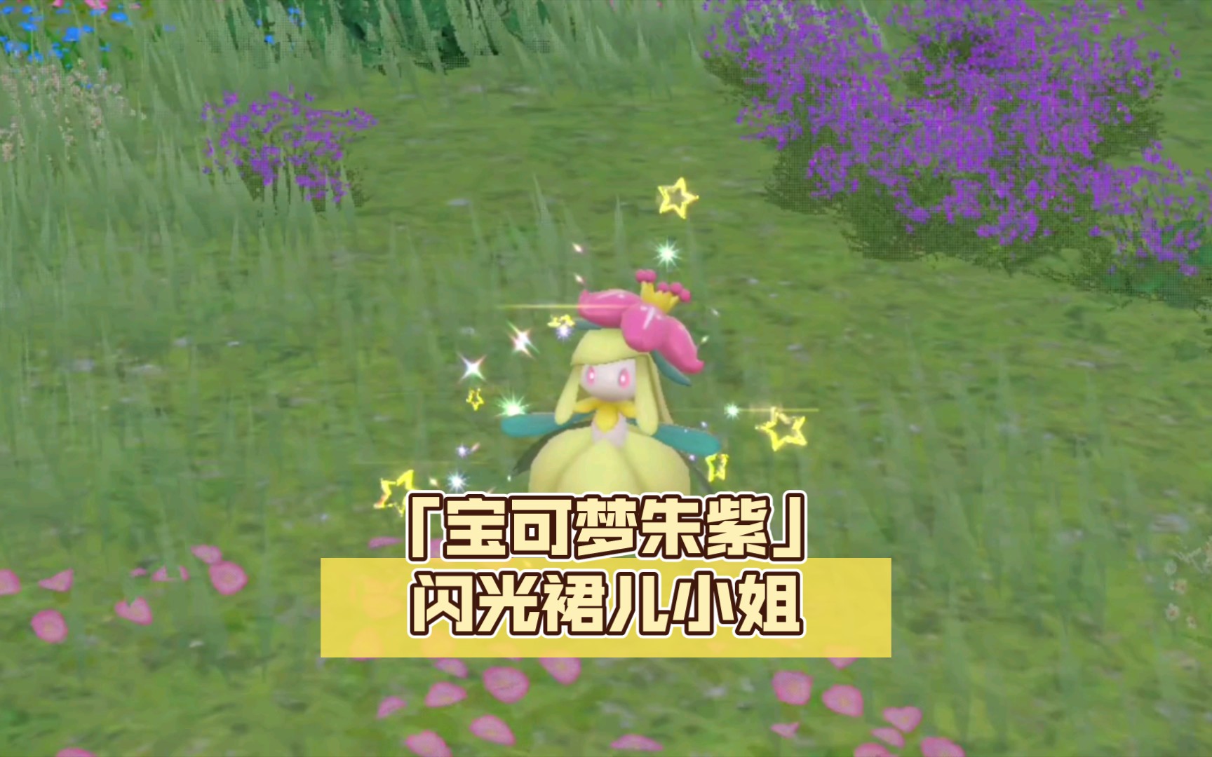 「宝可梦朱紫」闪光裙儿小姐get!