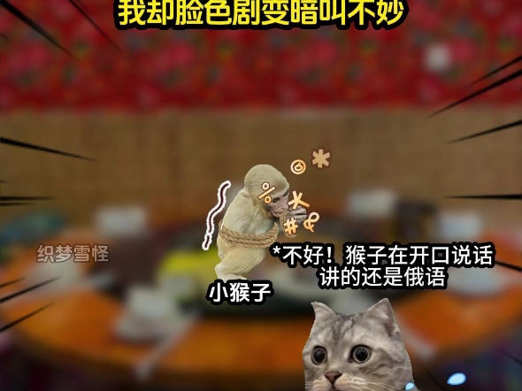 《织梦雪怪》#猫meme #猫meme小剧场 #猫meme故事哔哩哔哩bilibili