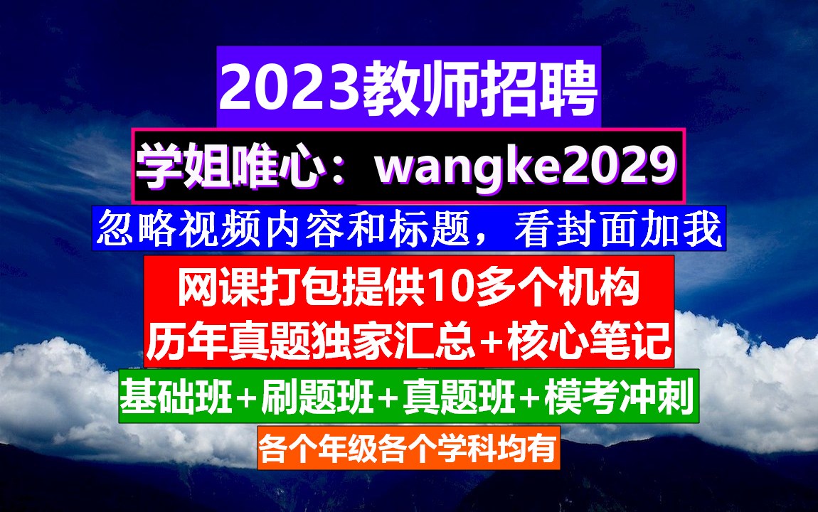 23年全国教师招聘教育综合知识,师德师风个人总结教师,教师招聘试卷哔哩哔哩bilibili