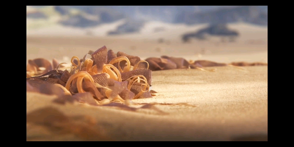 piper鹬奥斯卡最佳动漫短片