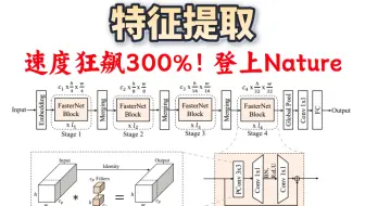【特征提取】特征提取神操作，登上Nature！一种能同时处理数据的幅度和相位信息的卷积模型，在性能远超SOTA的同时，计算速度更是狂飙300%！