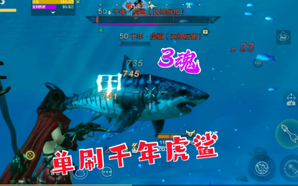 zb小生妄想山海单刷千年虎鲨还是大鲨鱼给力