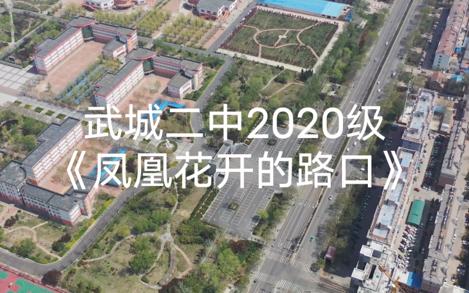 武城二中2020级《凤凰花开的路口》,毕业快乐!