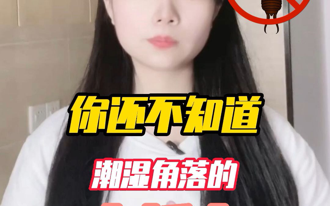 你还不知道这种有一对大夹子的虫吧哔哩哔哩bilibili